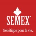 Semex